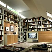 Einbauschrank nach Maß - Dachschräge - als Bibliothek und TV-Wand genutz by Linea Conzept